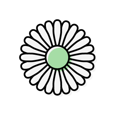 白い西洋菊の花のアイコンイラスト素材