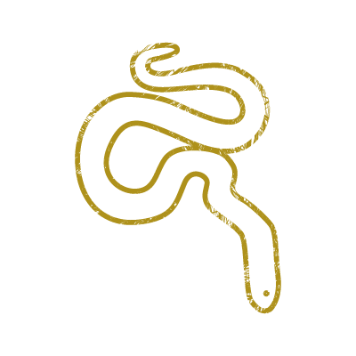 金色のインクで描いた蛇（巳年）のアイコンイラスト素材