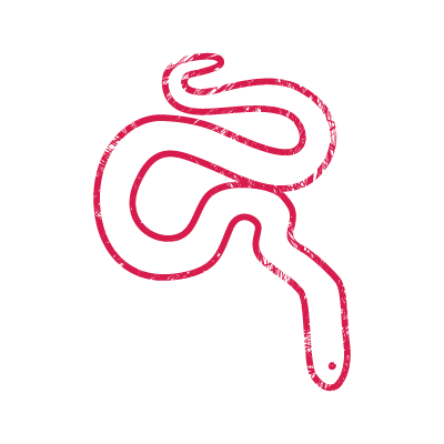 赤いインクで描いた蛇（巳年）のアイコンイラスト素材